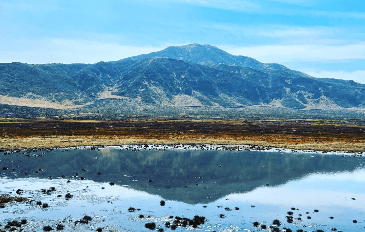 作品のイメージ画像