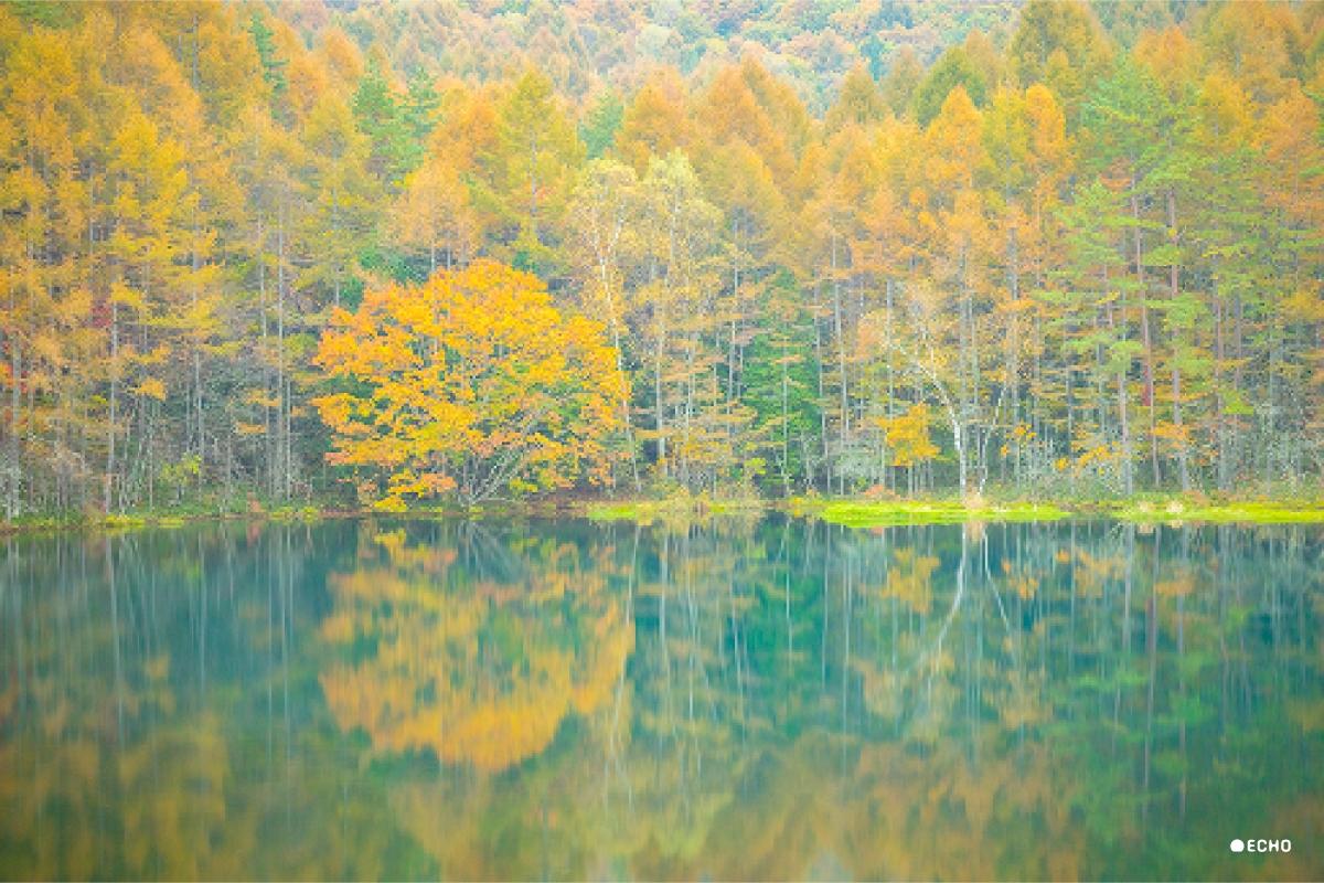 サンプル写真１